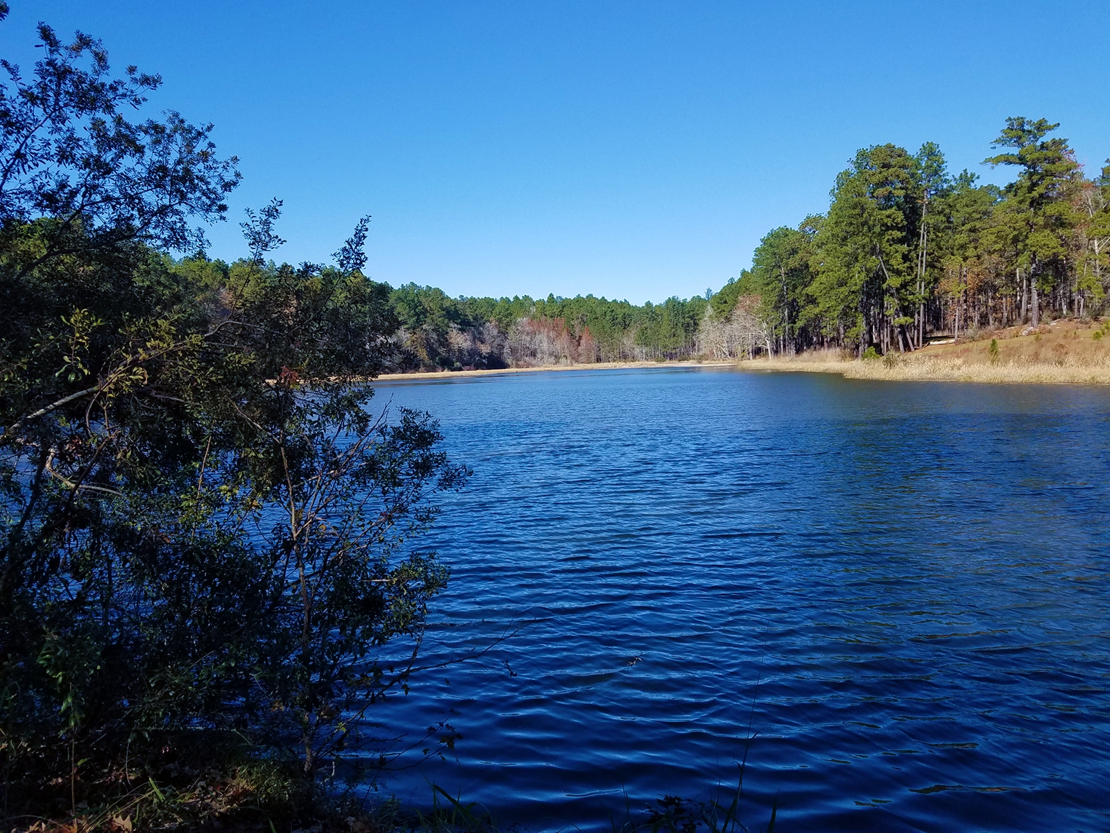 Boykin Springs NF Campground