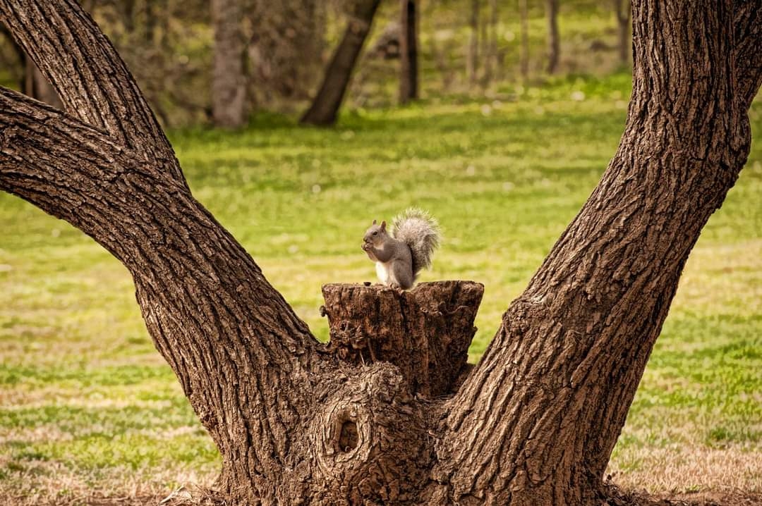 Sycamore Ranch County Park and Campground