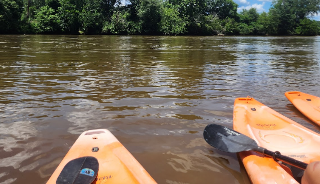 Banning Mills Treehouses Camping