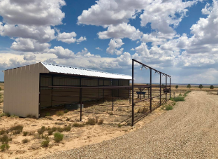 Cuervo Mountain RV Park & Horse Hotel