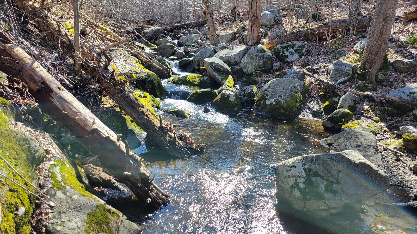 Wawayanda State Park