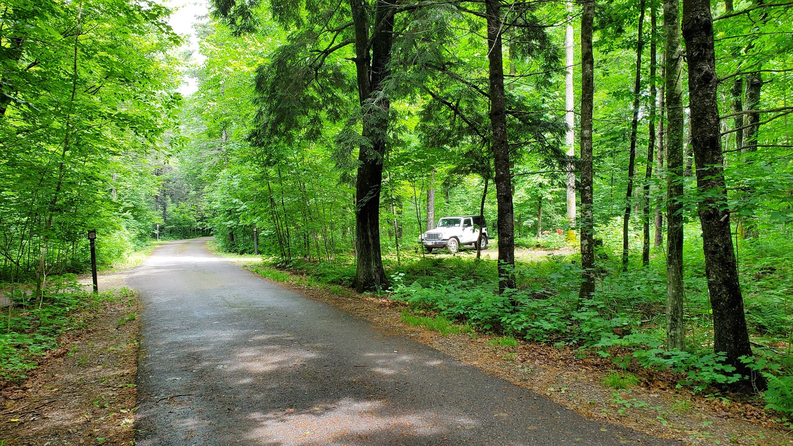 Connors Lake - Flambeau River SF