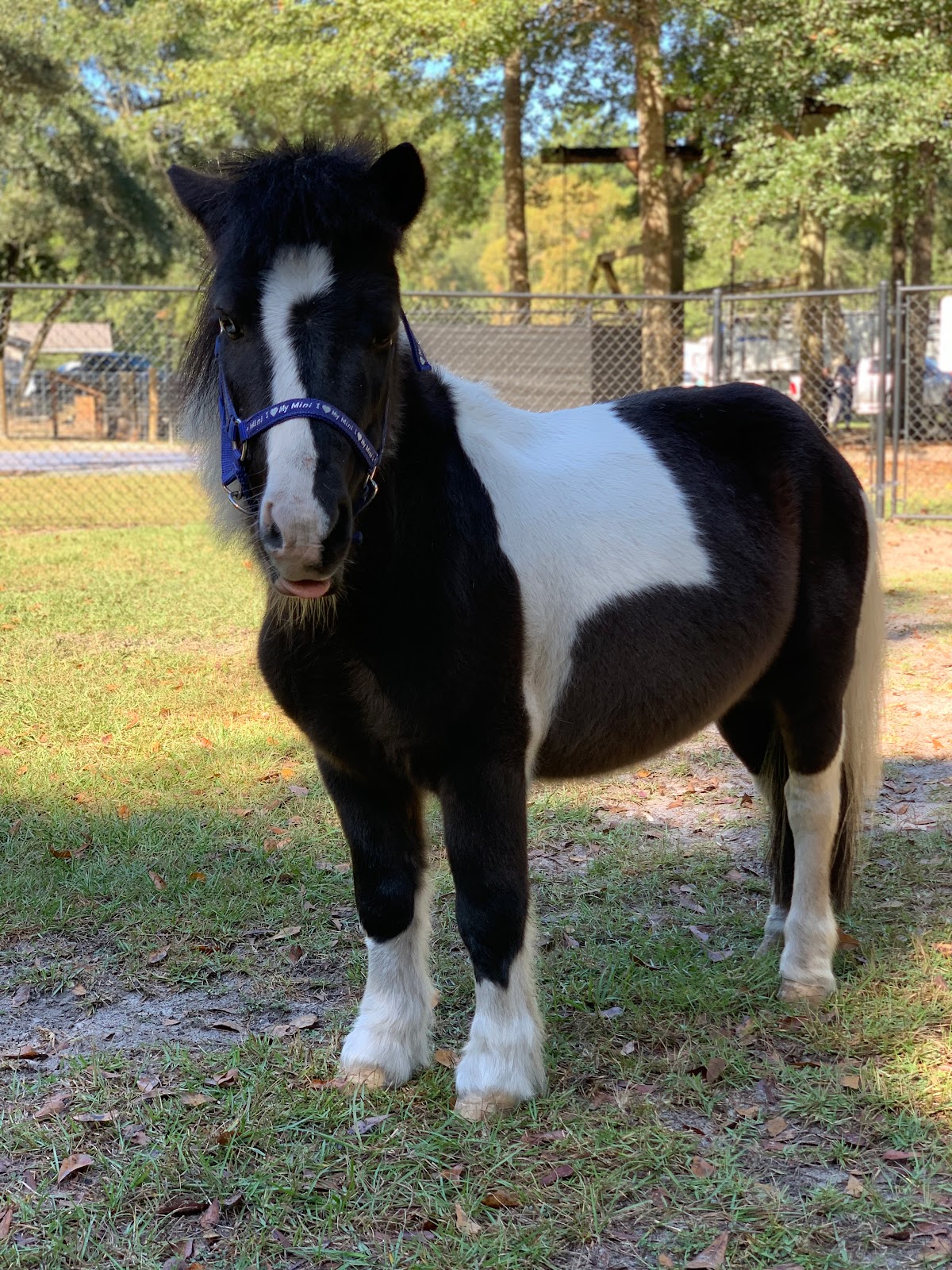 Walkabout Camp and RV Park