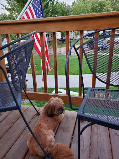 Disabled Veterans Campground on Big Marine Lake