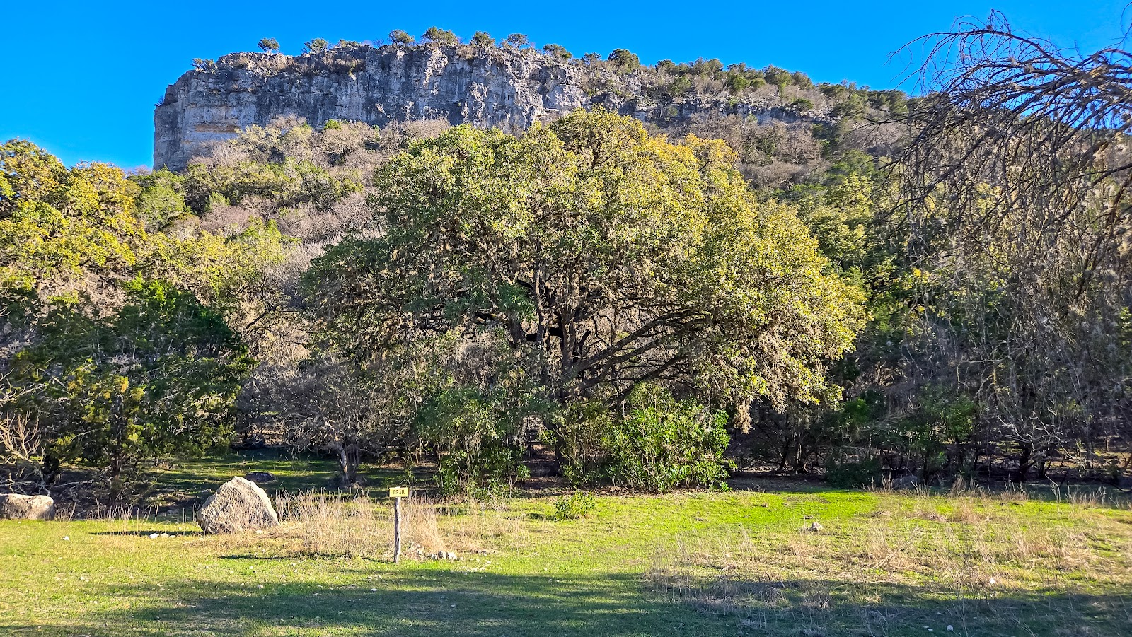 Seven Bluff Cabins & RV Park