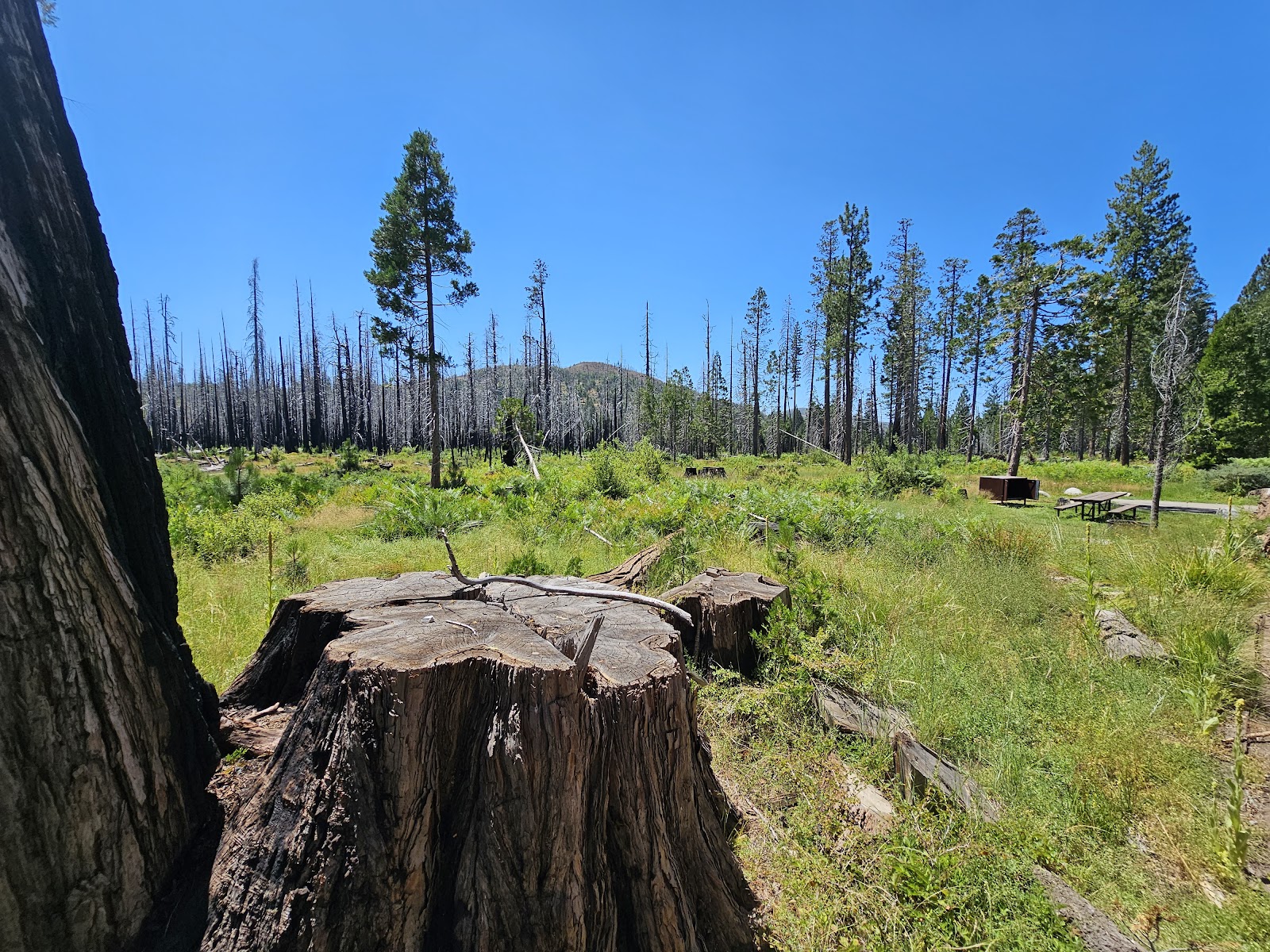 Big Meadows Campground