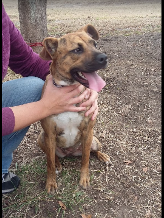 Ocean Aire Travel Park