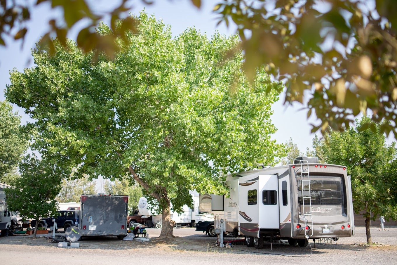 Desert Rose RV Park