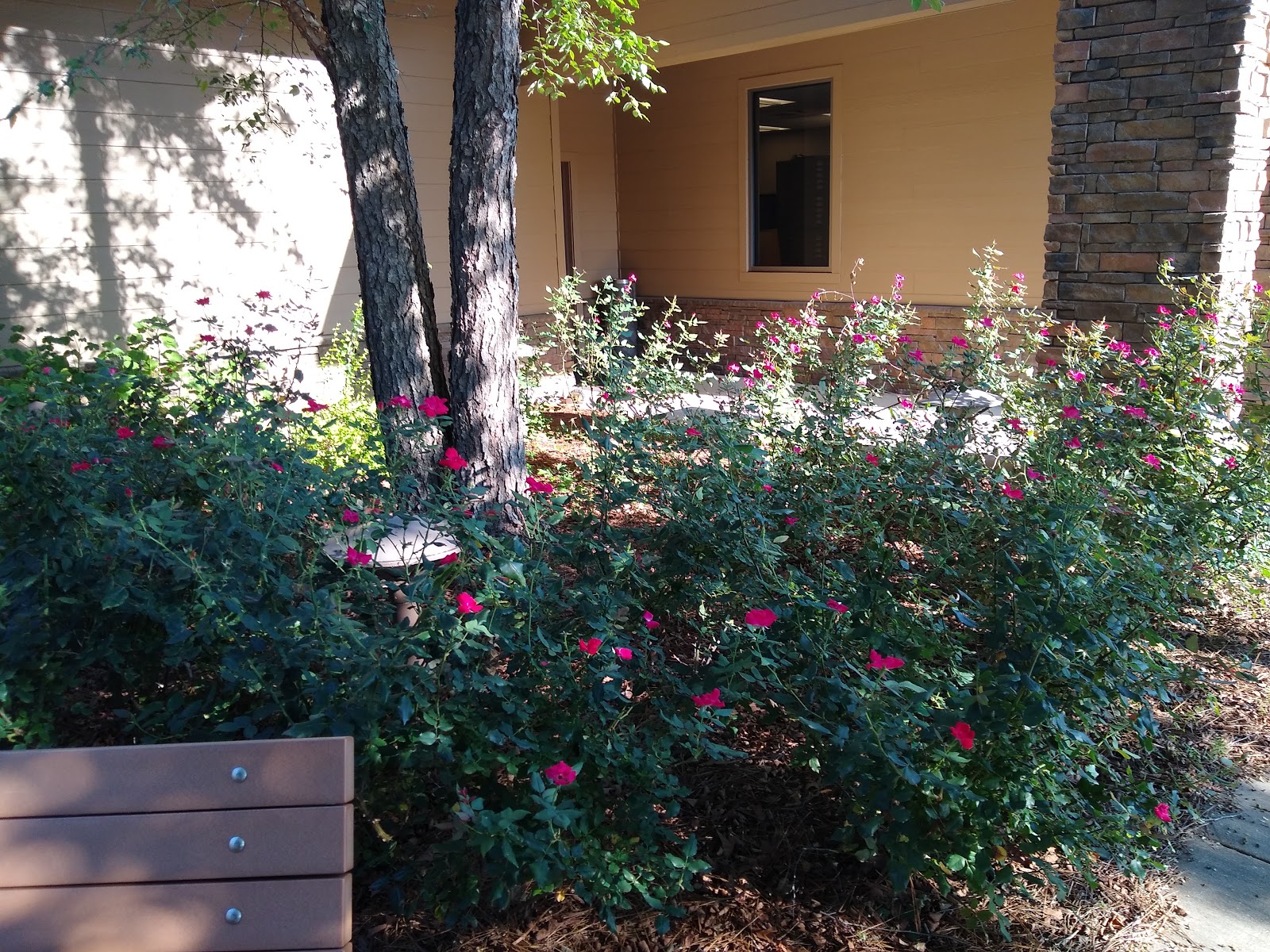 Hatchechubbee Creek Park