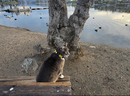 Happy Camp Campground