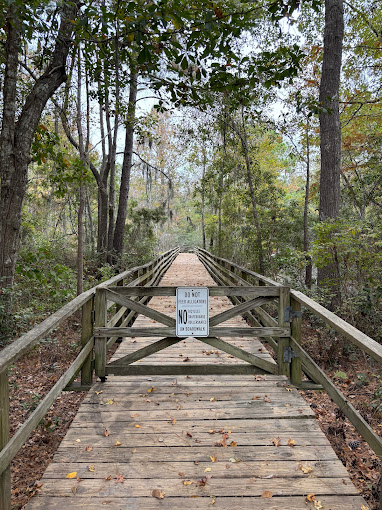 Tuc In De Wood Campground