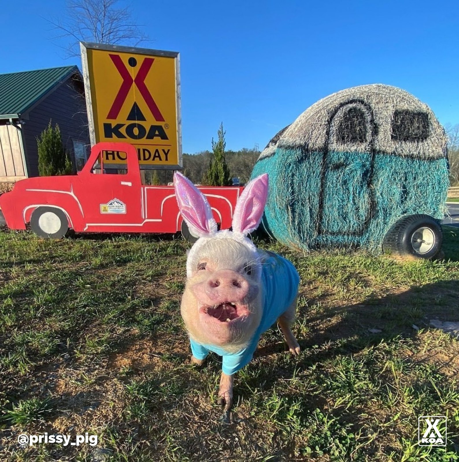 Blue Ridge - Toccoa River KOA Holiday