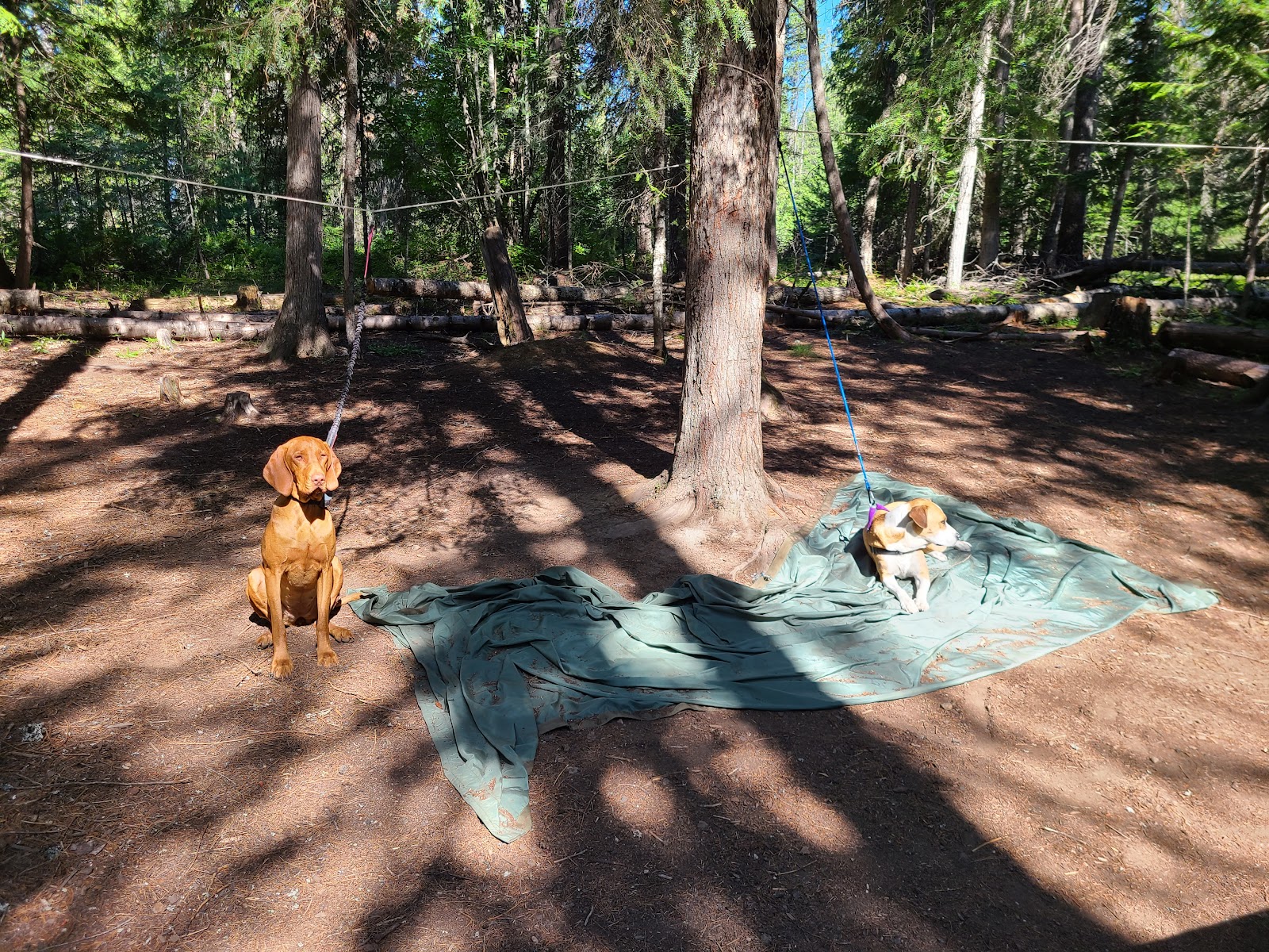 Trapper Creek Campground
