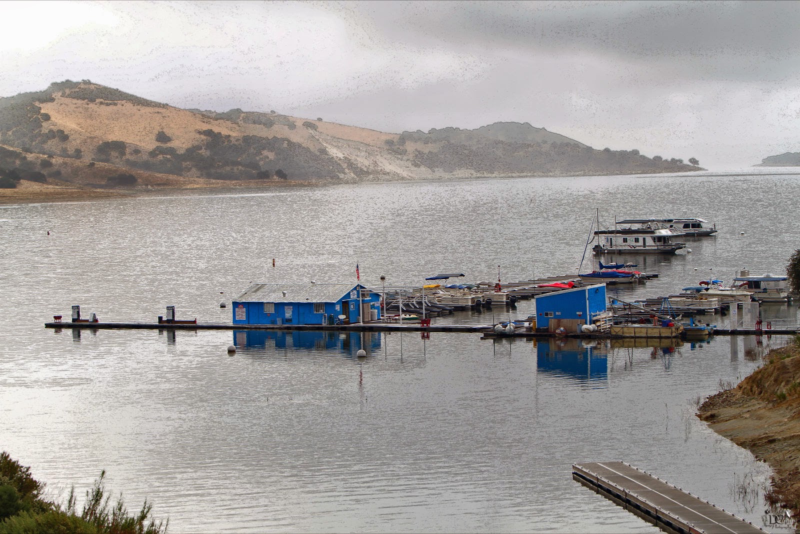 Lake San Antonio South Shore