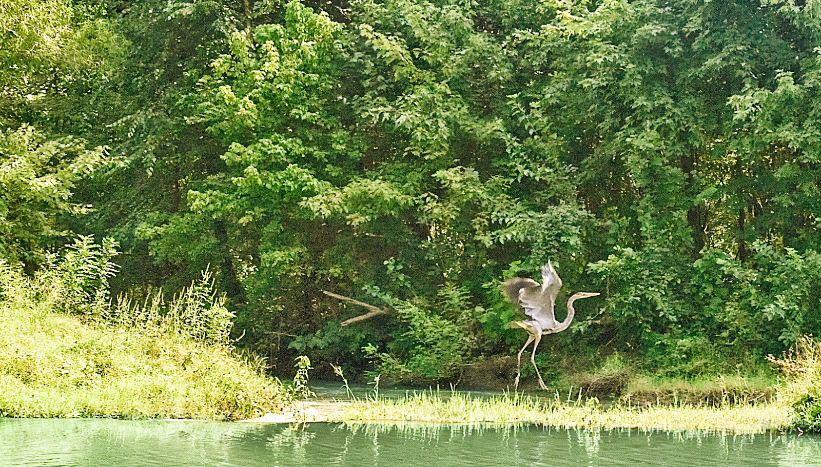 St. Francis Sunken Lands Wildlife Management Area
