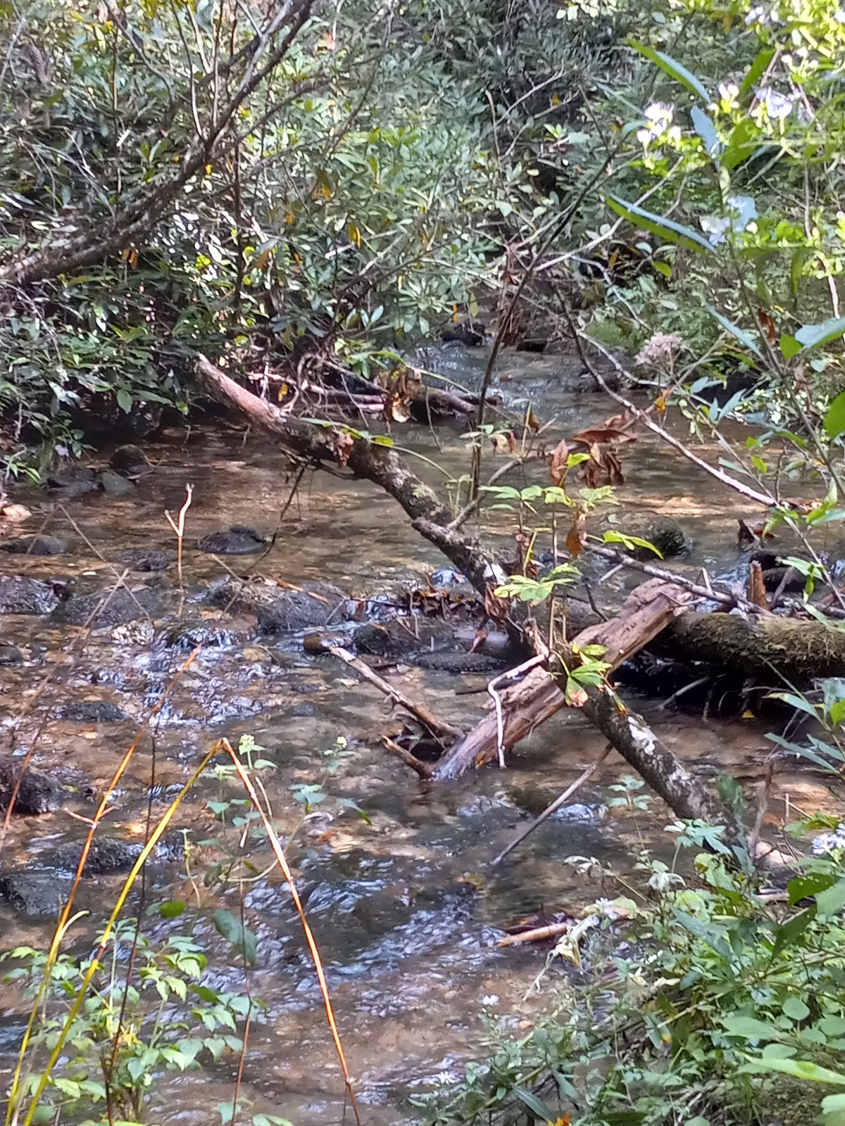 Blue Valley Campground