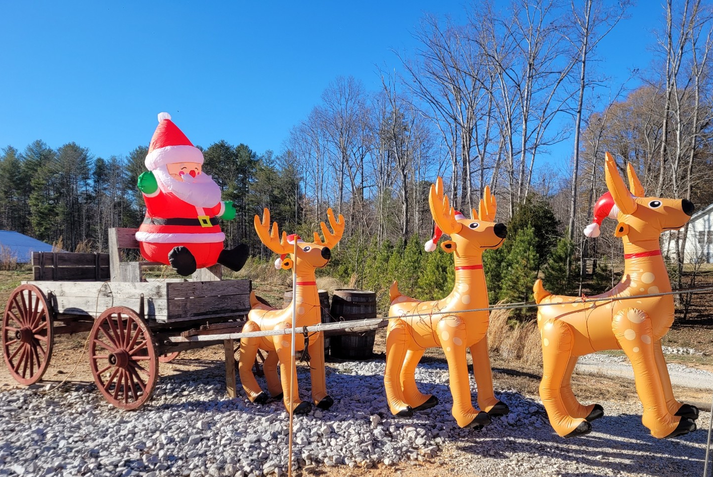 Optimistic RV Resort