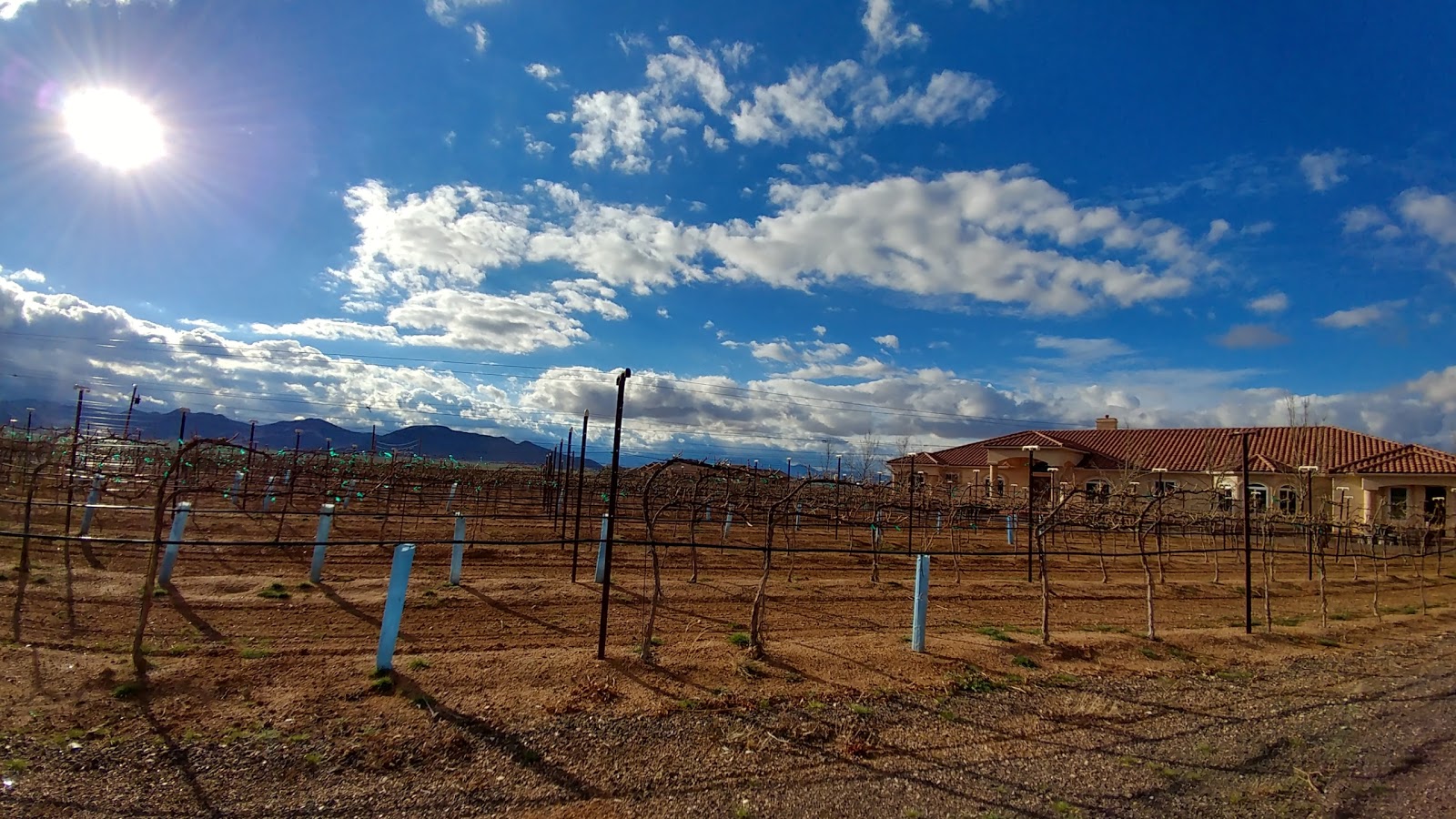 Cella Winery Camping