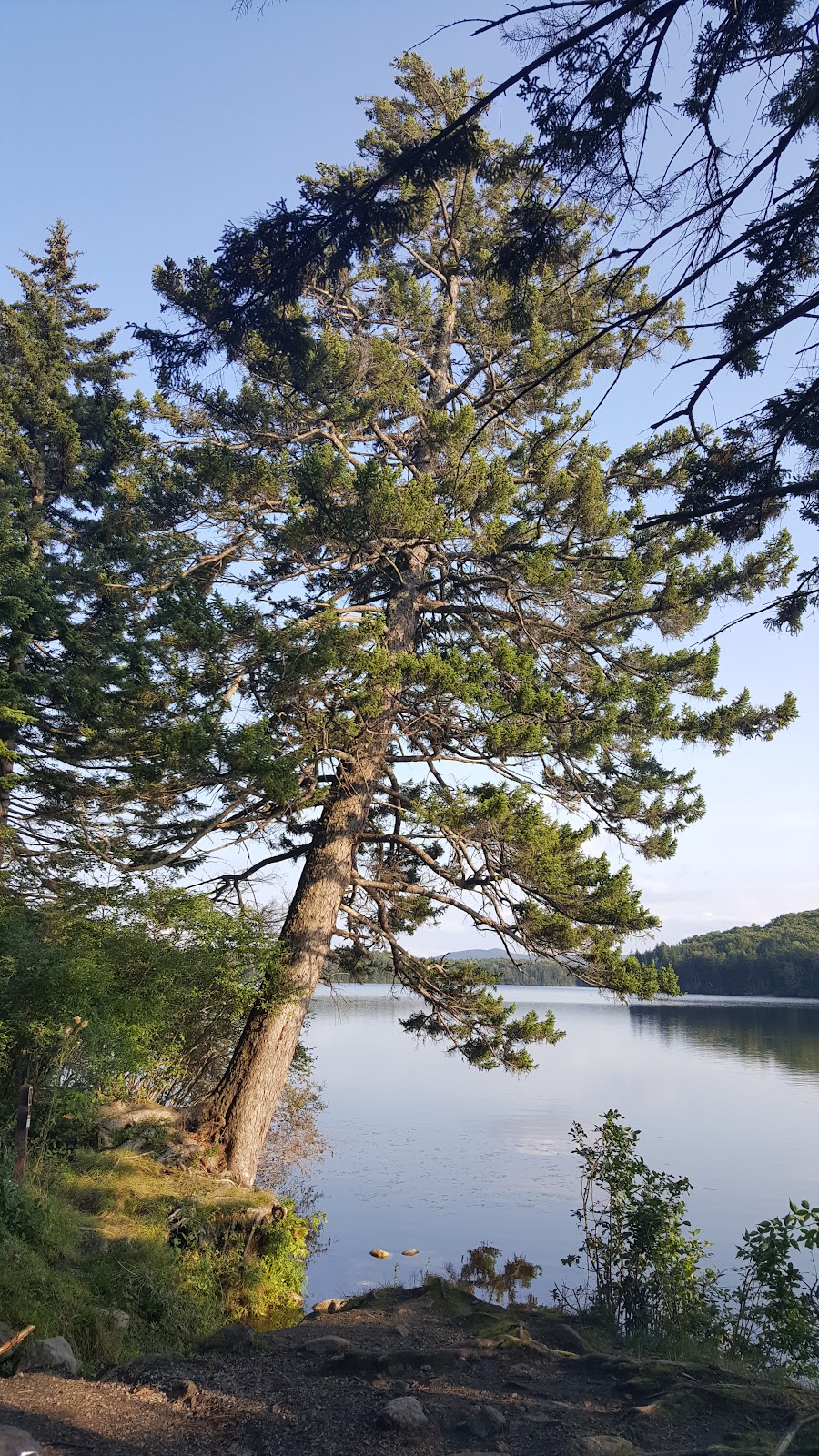 Grout Pond NF Campground