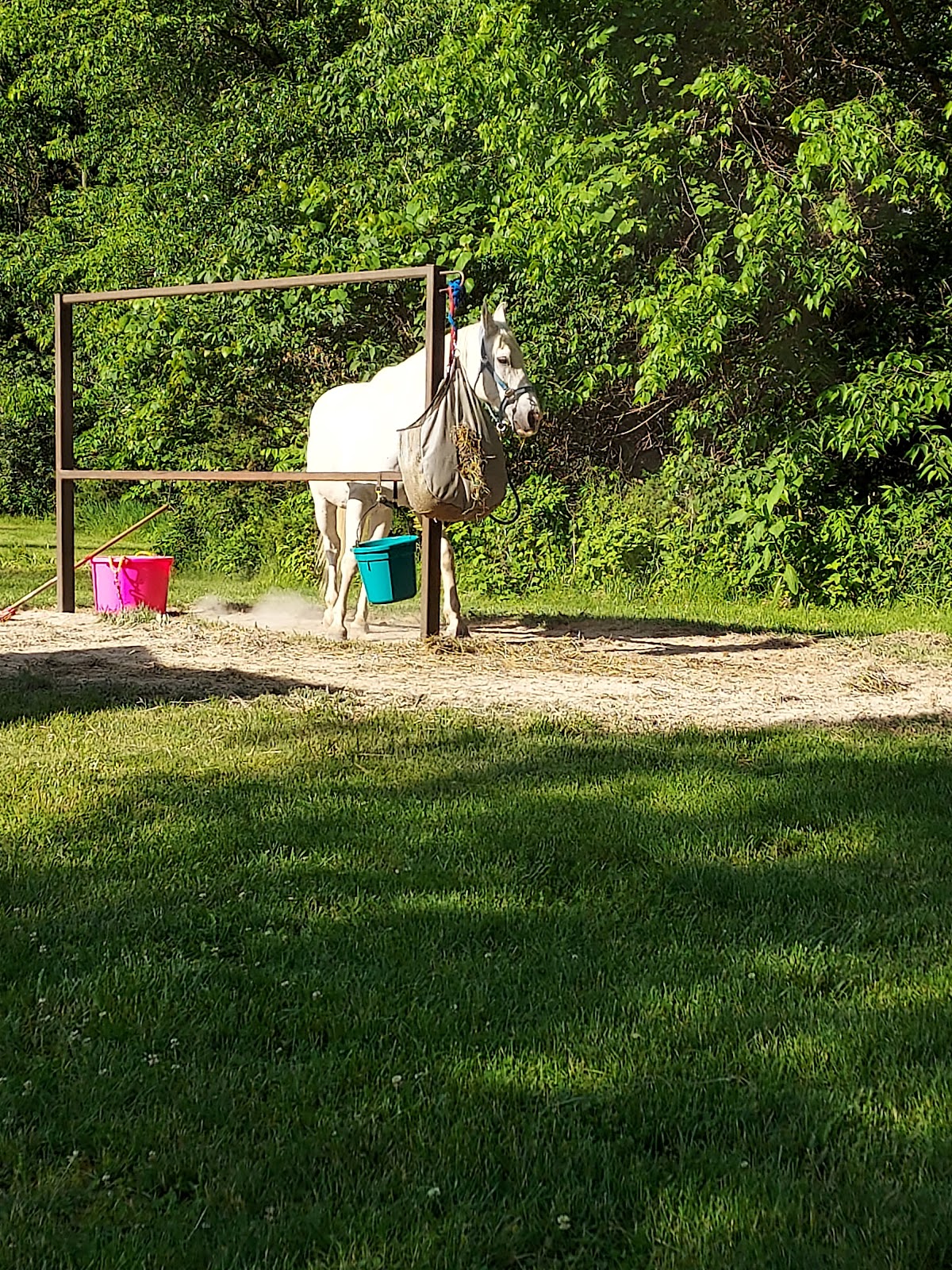 Weinberg-King State Park Fish and Wildlife Area