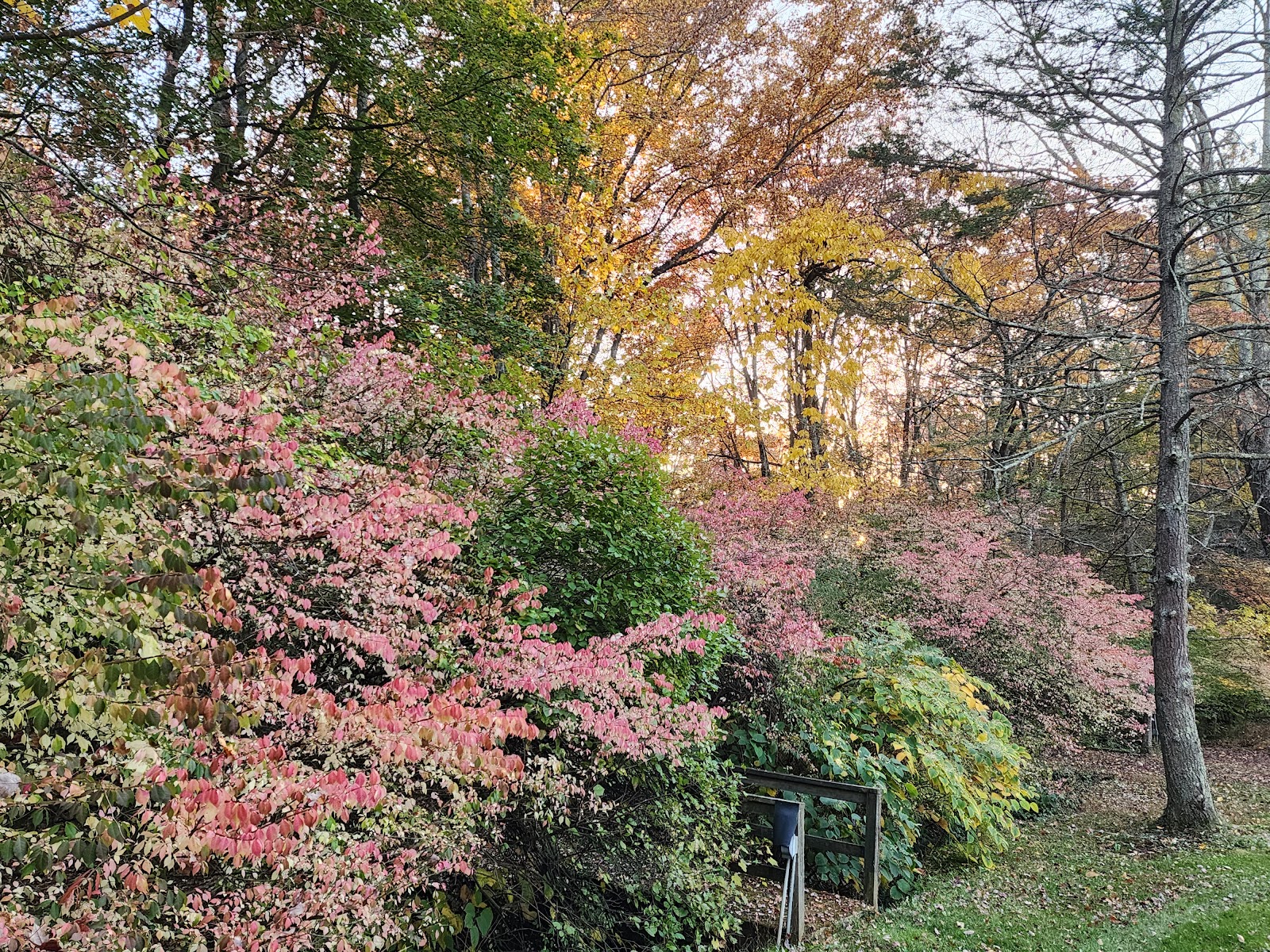 Goodland Country Club and Spa