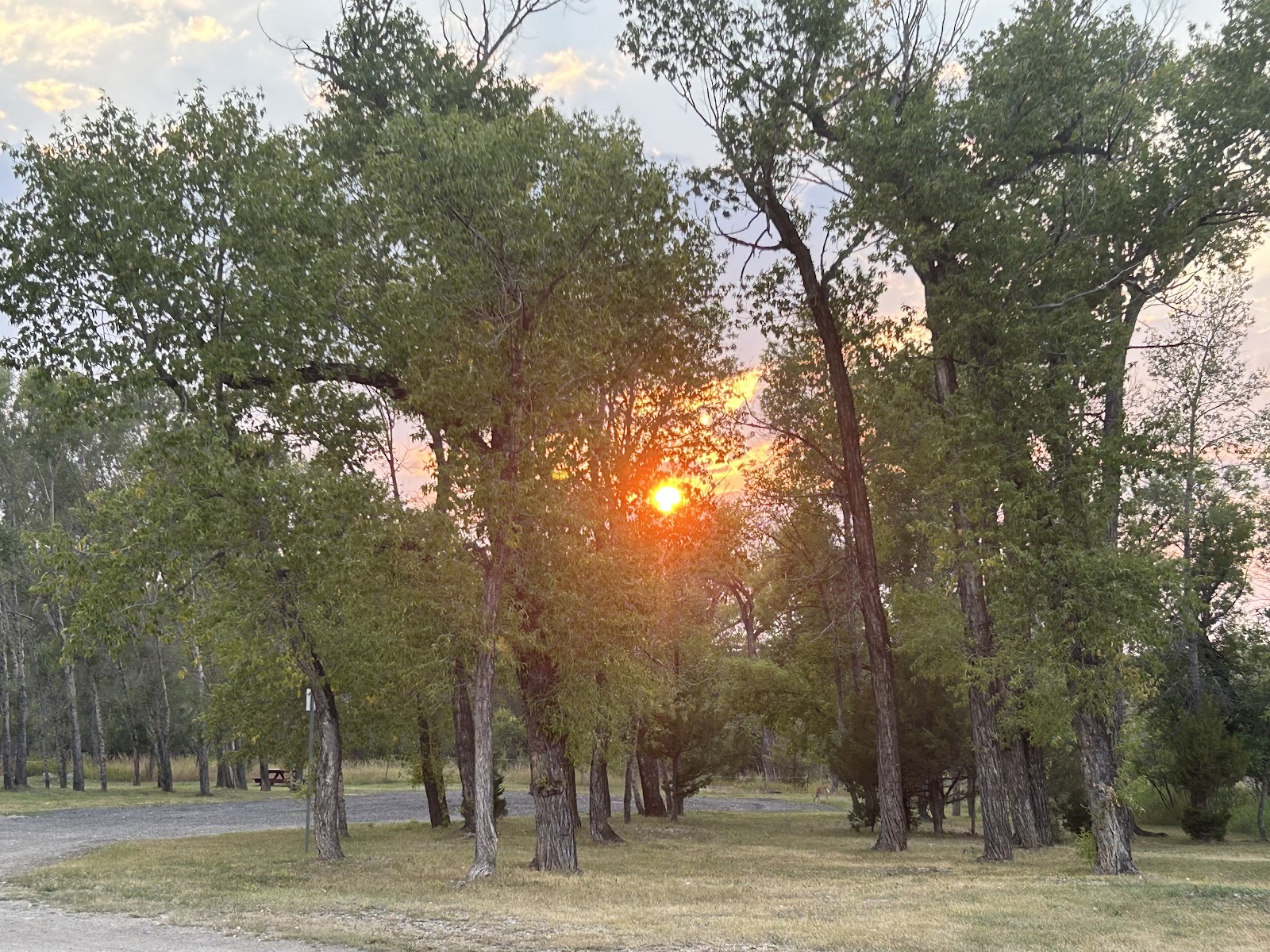 Chief Joseph City Park