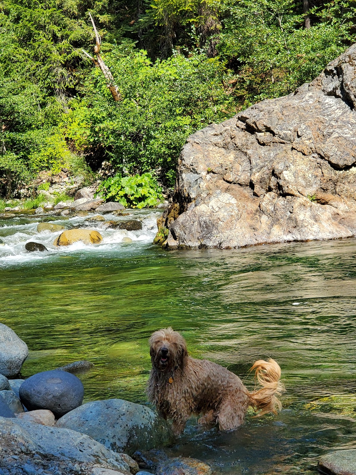 Union Flat Campground