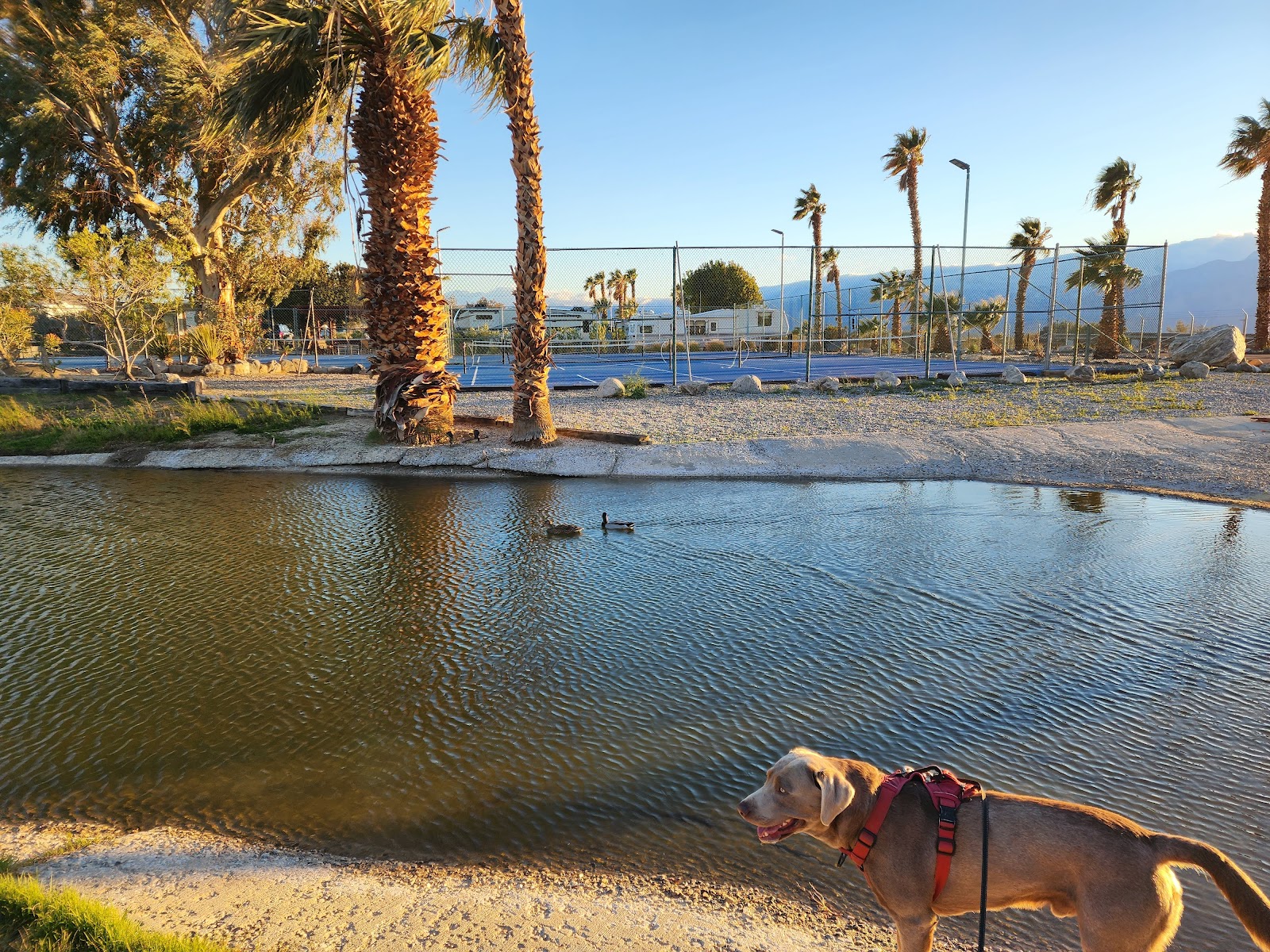 Catalina Spa and RV Resort