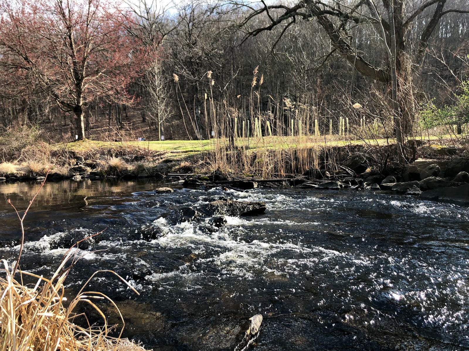 Ward Pound Ridge Reservation