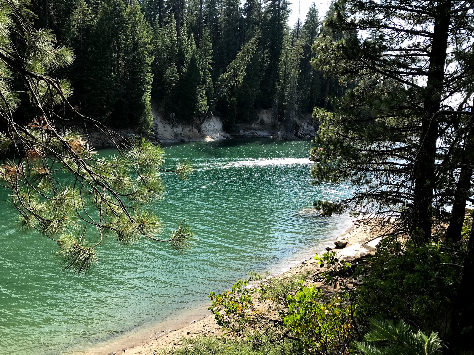 Azalea Cove Campground