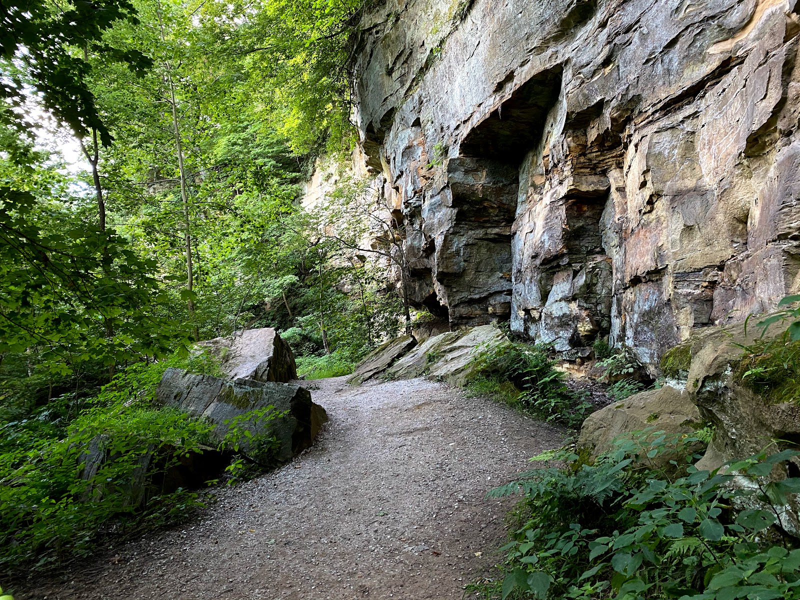 Wildcat Den State Park