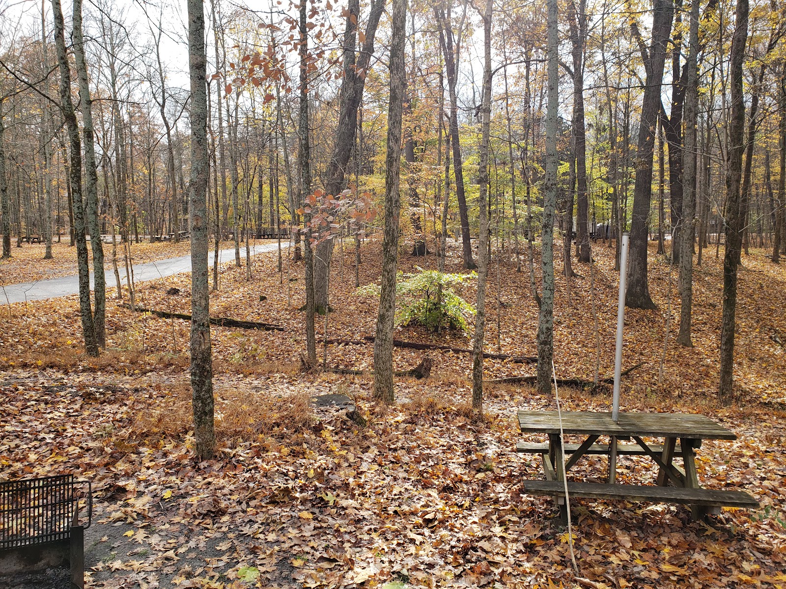 O’Bannon Woods State Park