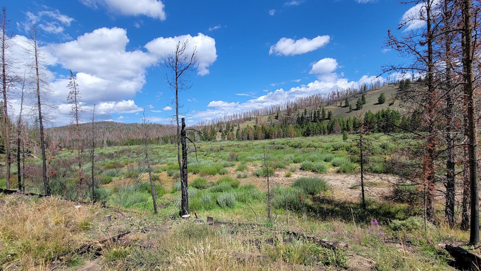 Pelton Creek Campground