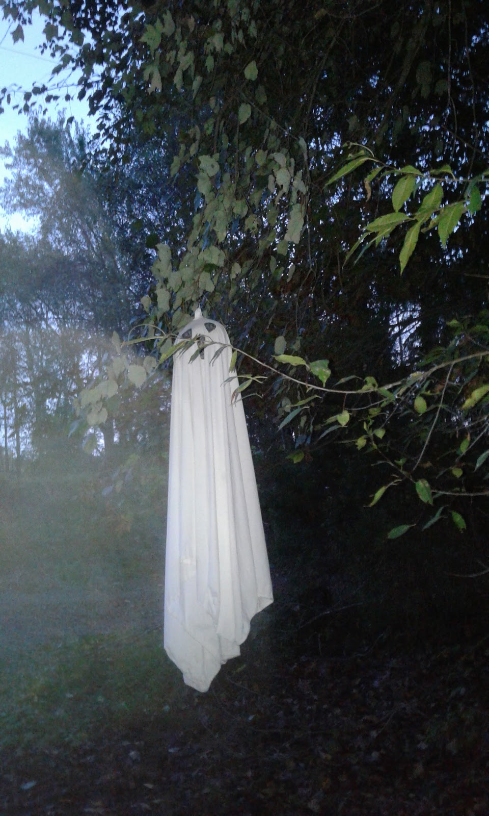 Cedar Mountain Campground