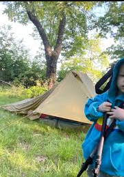 Appalachian Trail Designated Backpacker Campsite 2