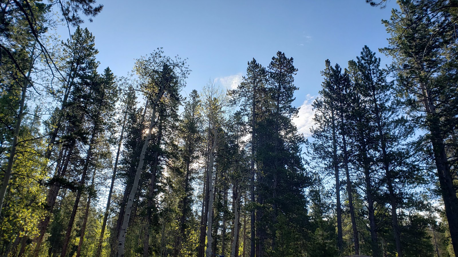 Timberline Campground