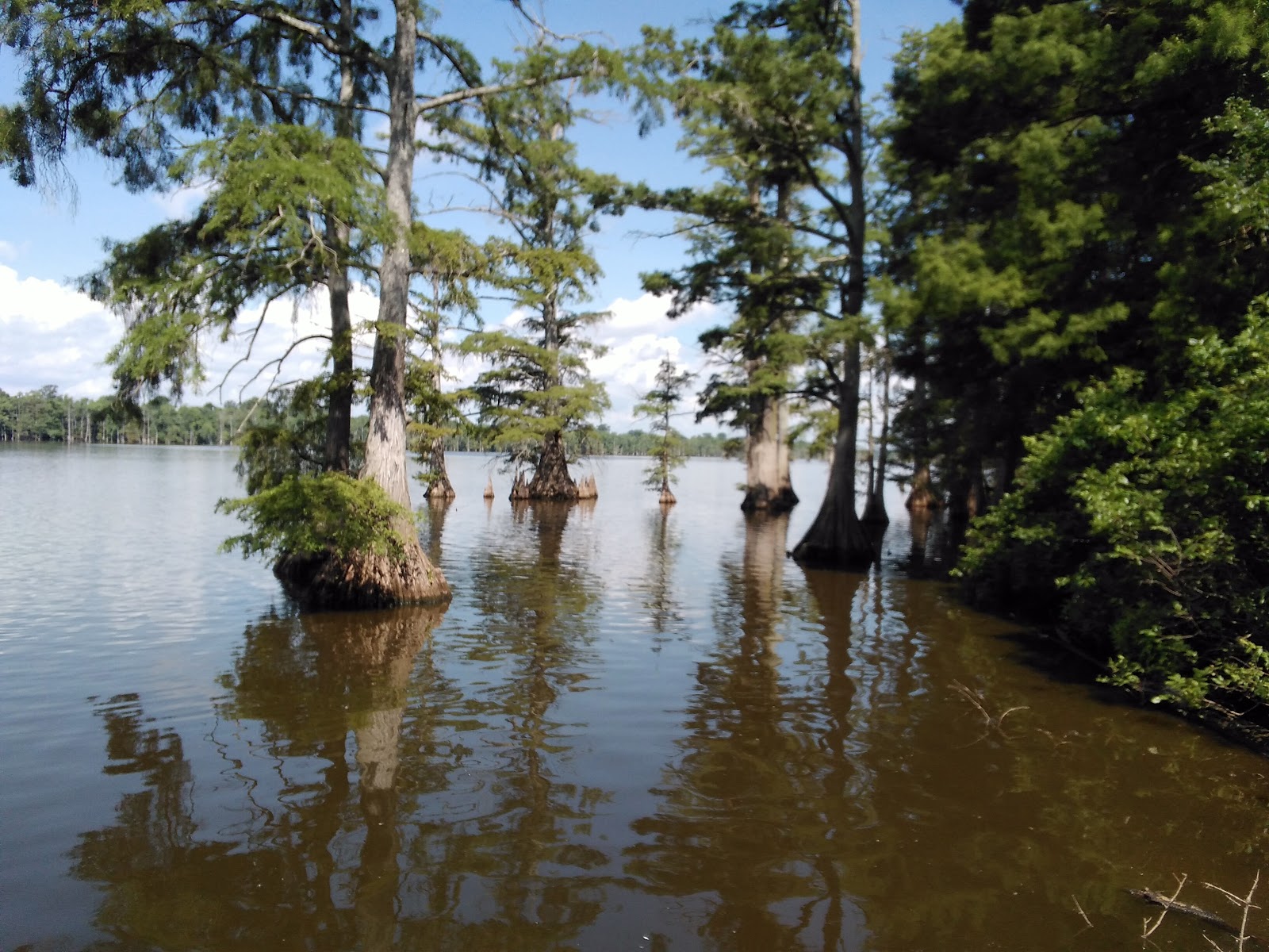 Horseshoe Lake State Fish and Wildlife