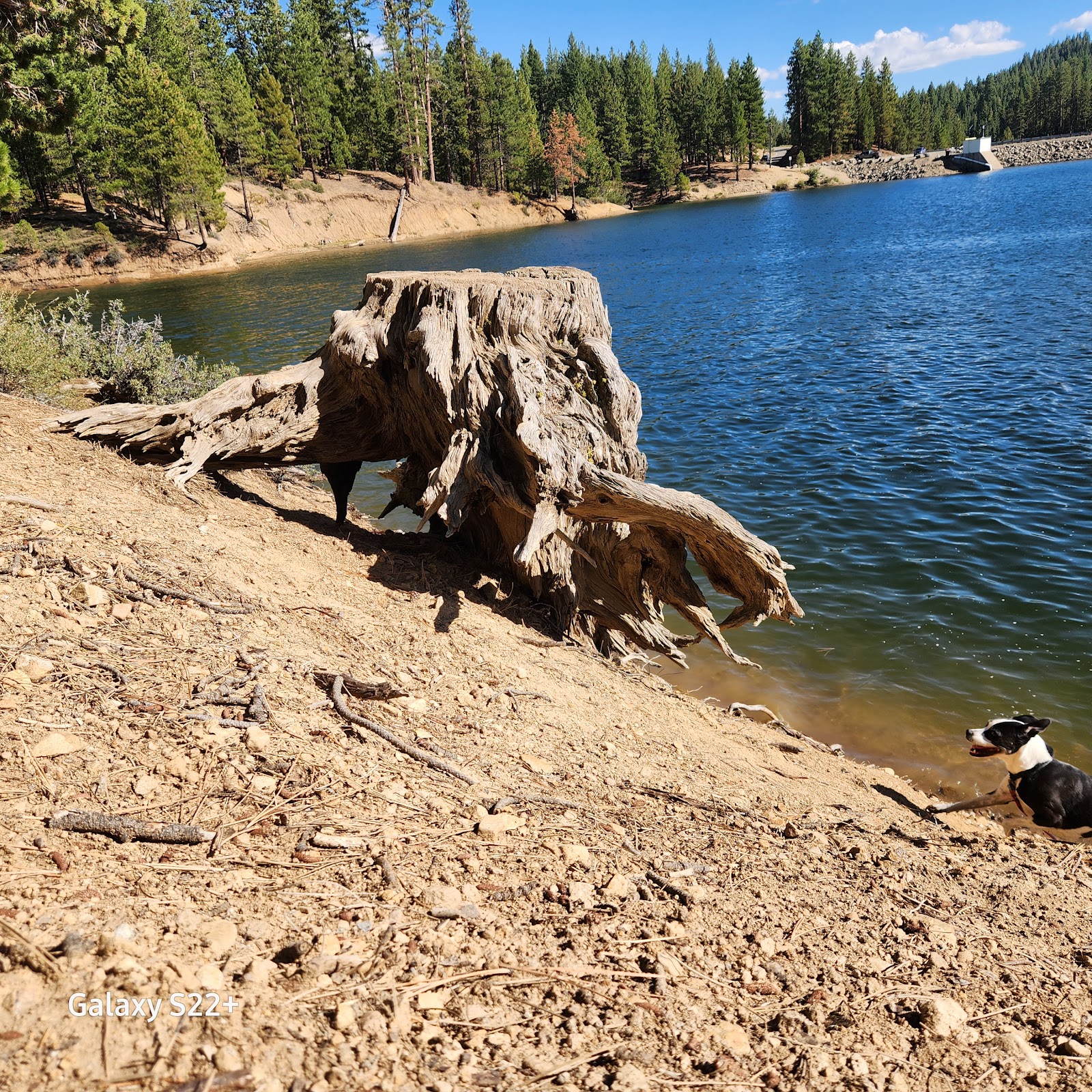 Grasshopper Flat Campground