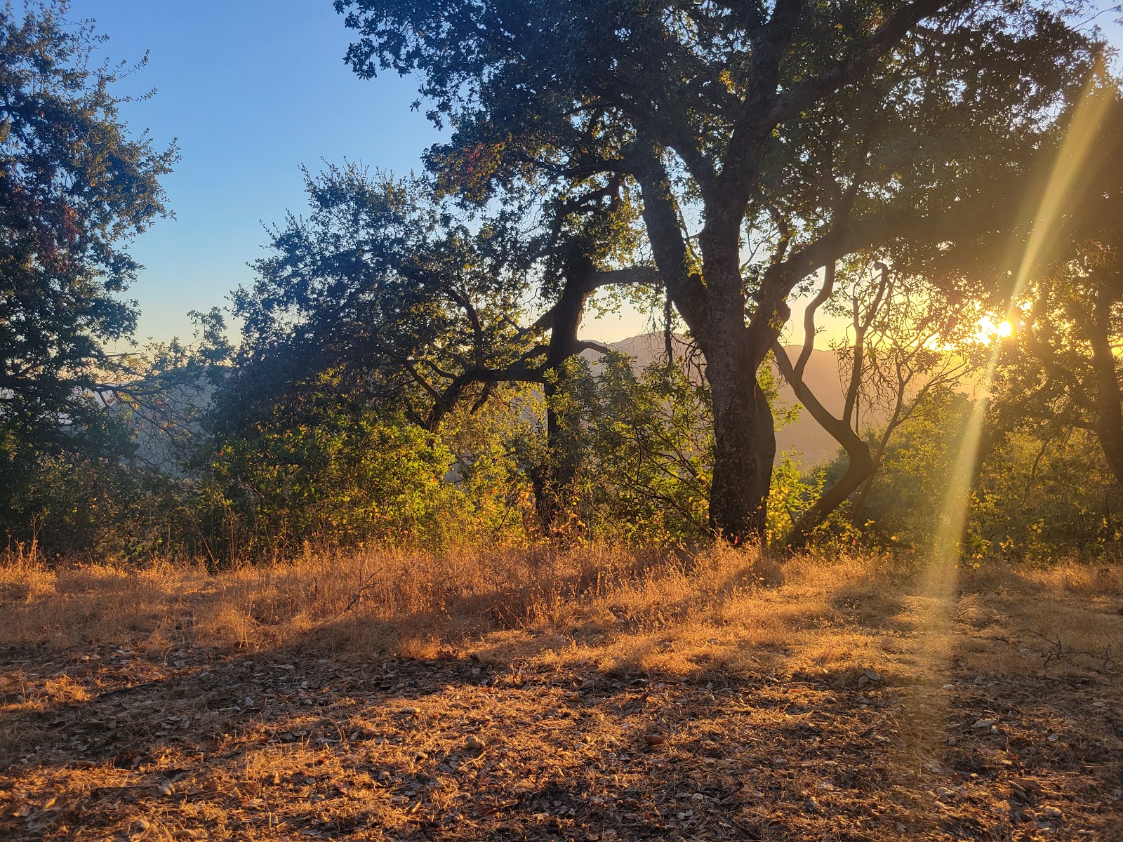 Hi Mountain Campground