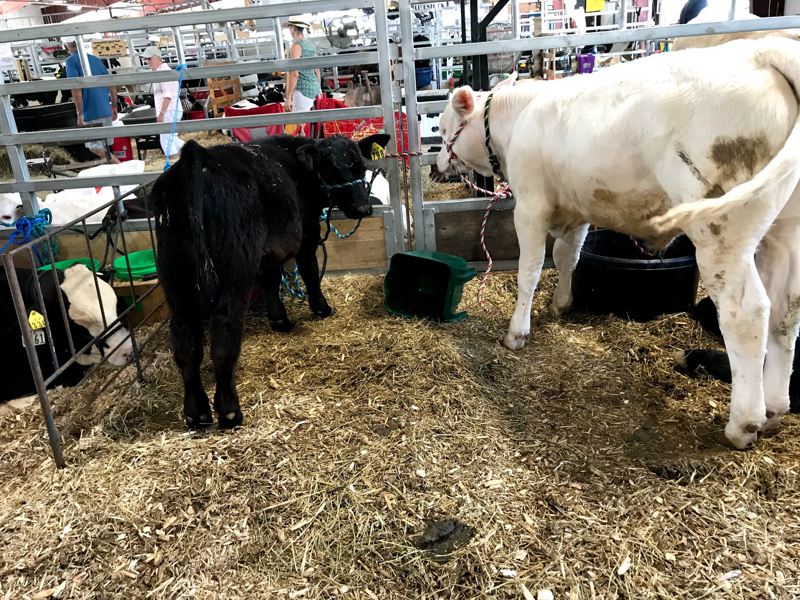 Wood County Fairgrounds