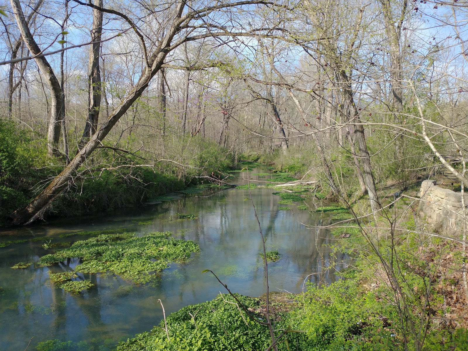 Lane Spring Campground