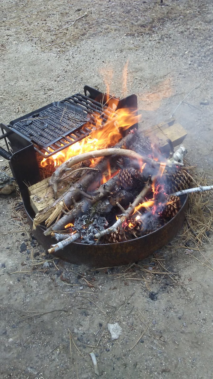 Kinnikinnick Campground