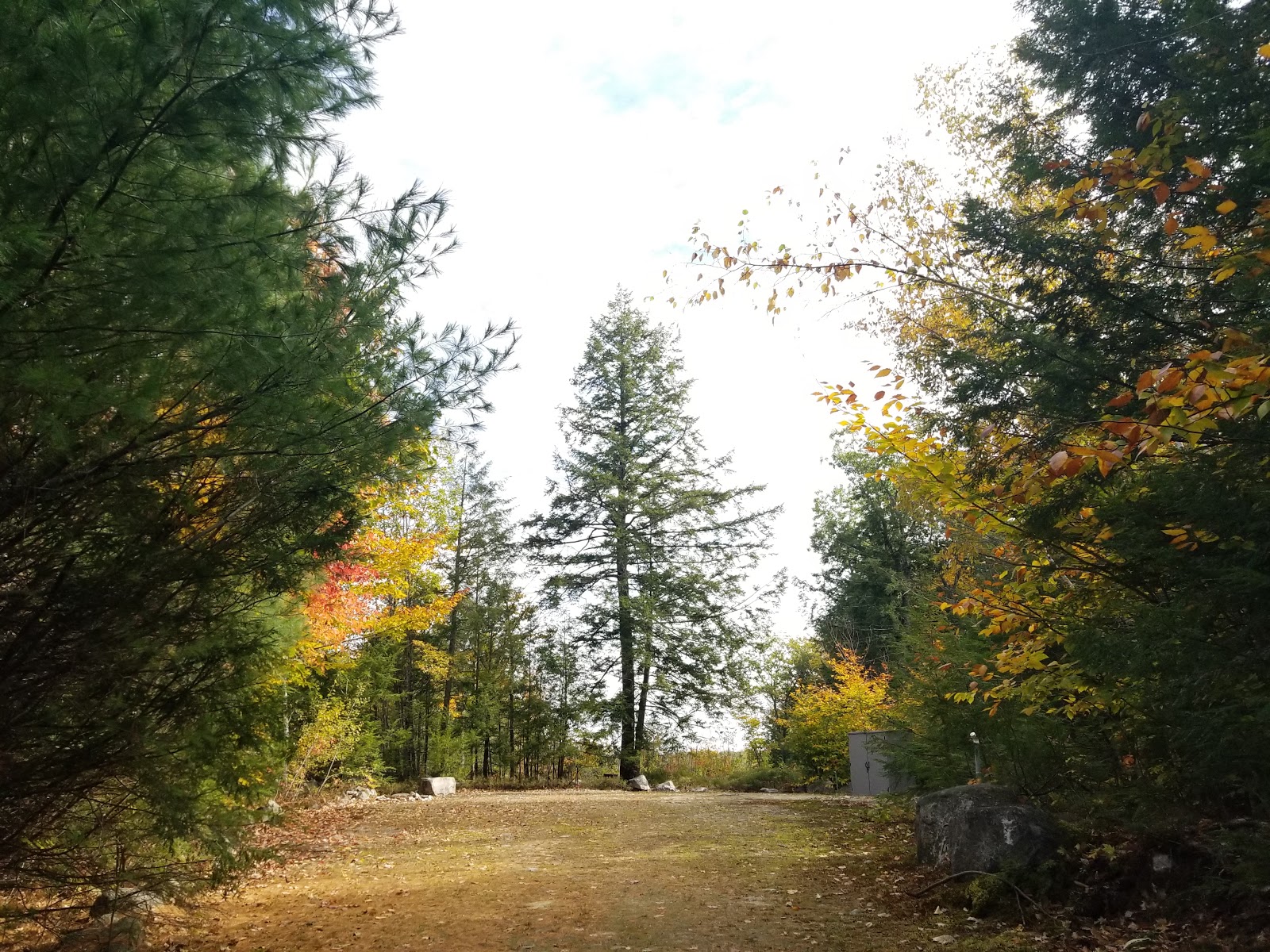 Vicki-Lin Camping Area