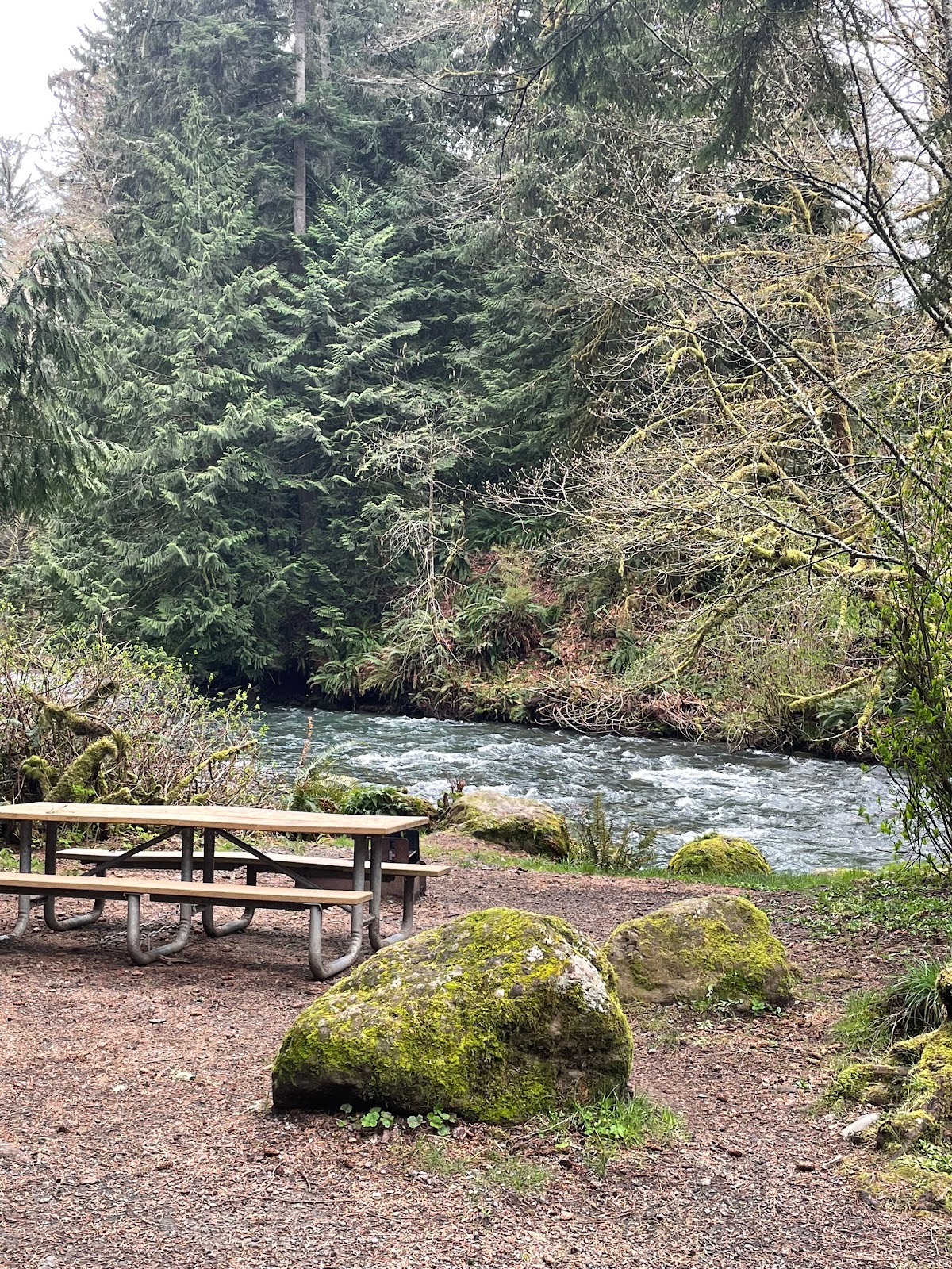 Lyre River Campground