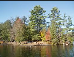 Alger Island Campground