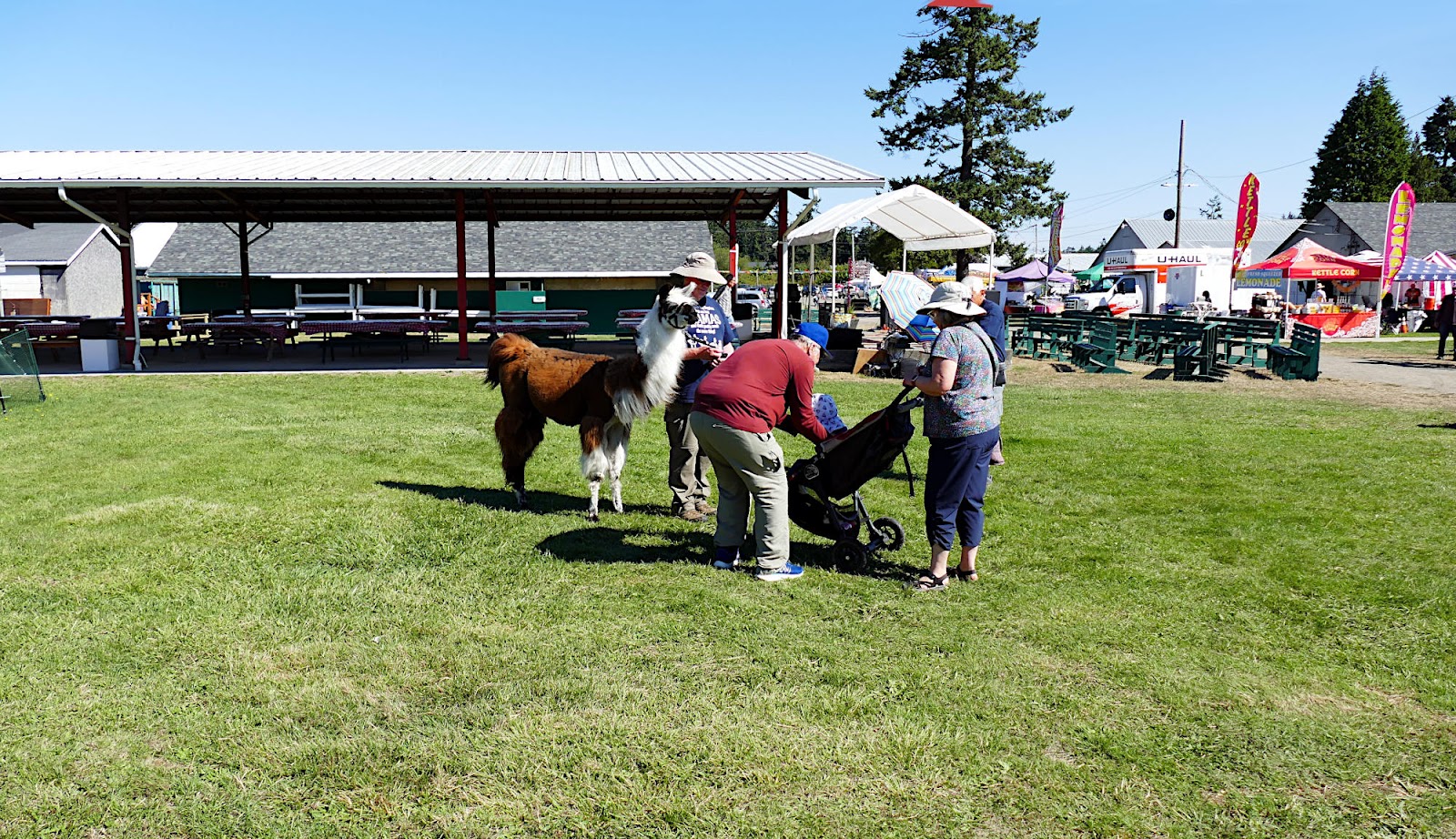 Jefferson County Fairgrounds and RV Campgrounds