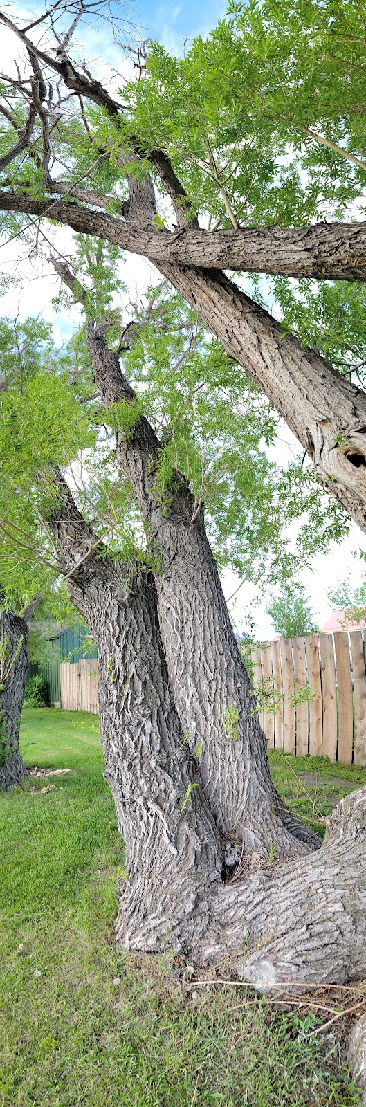 Livingston Inn Motel & Campground