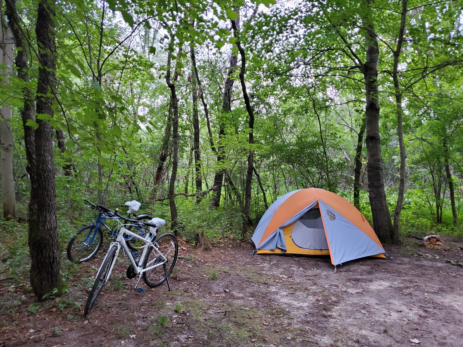 Sparta DNR Campground