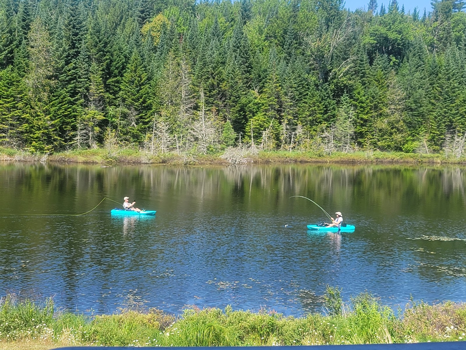 Ladd Pond Cabins And Campground