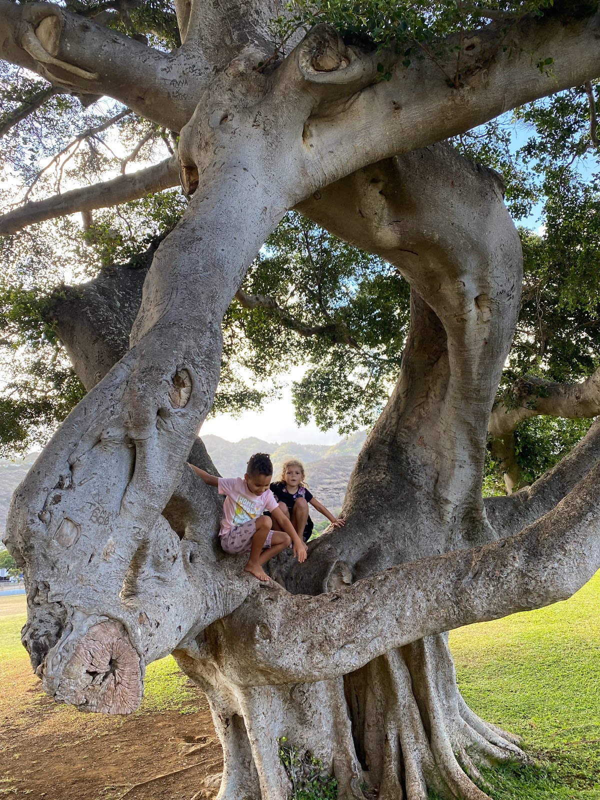 Kamilo Iki Community Park